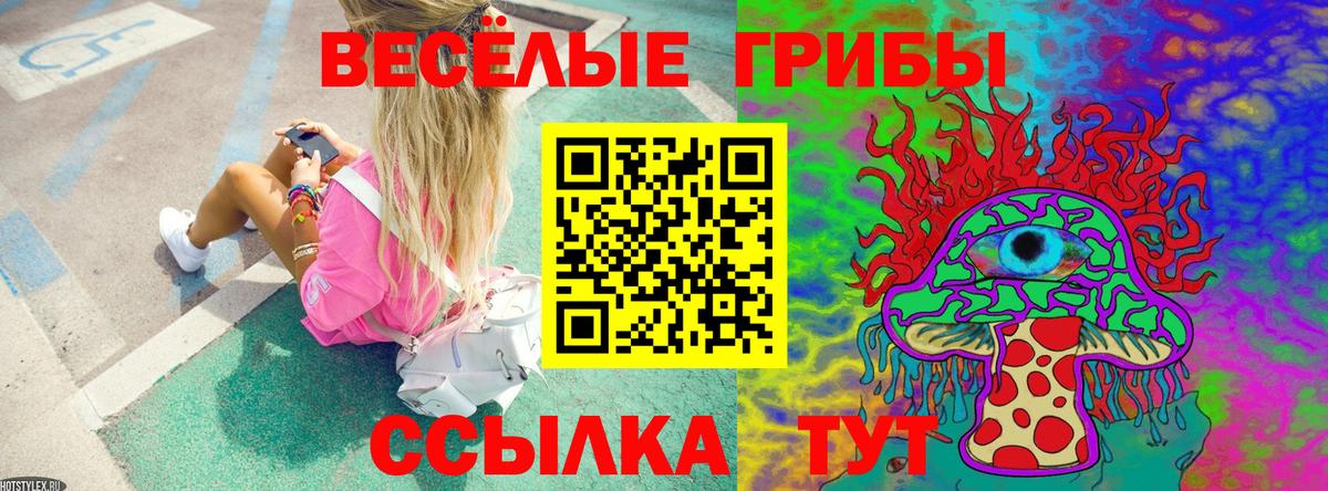 Псилоцибиновые грибы прущие грибы  Вход с VPN  Учалы  Псилоцибиновые грибы Cubensis 